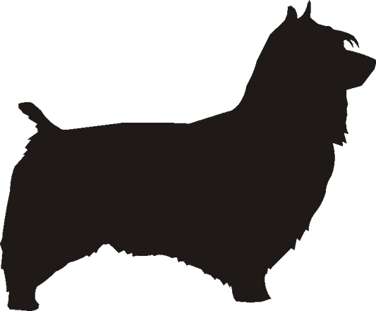 Australian Silkie Silhouettes