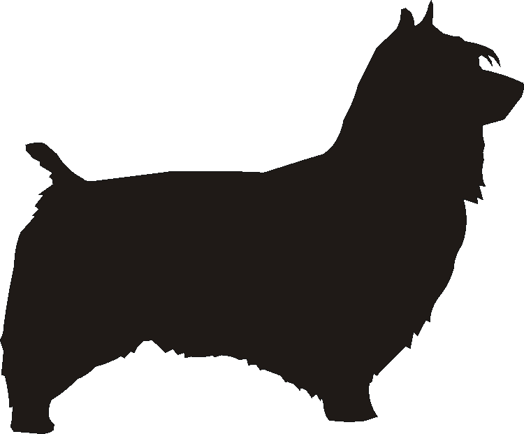 Australian Silkie Wind Chimes