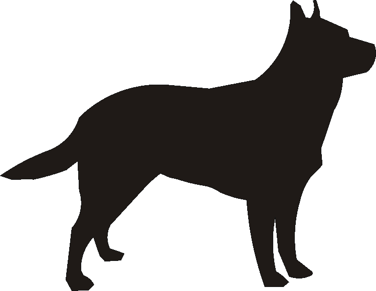 Australian Cattle Dog Wine Glasses