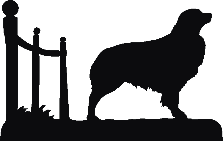Australian Shepherd Potties