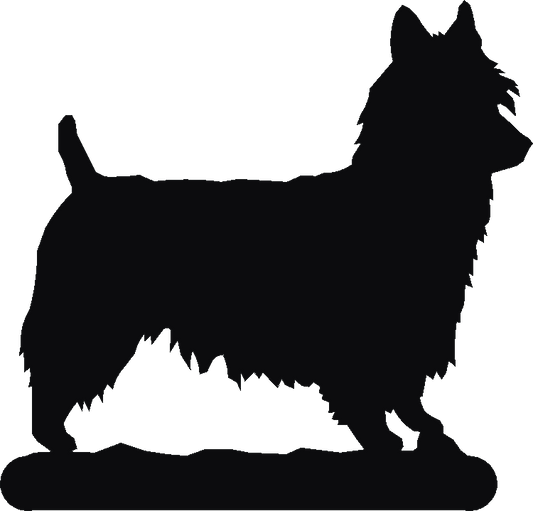 Australian Terrier Hand Stand