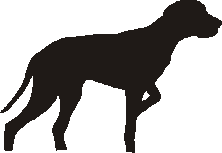 Auvergne Pointer Gate Plates