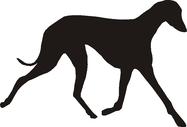 Azawakh Silhouettes
