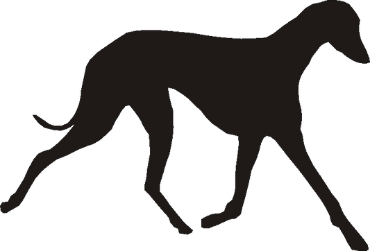 Azawakh Silhouettes