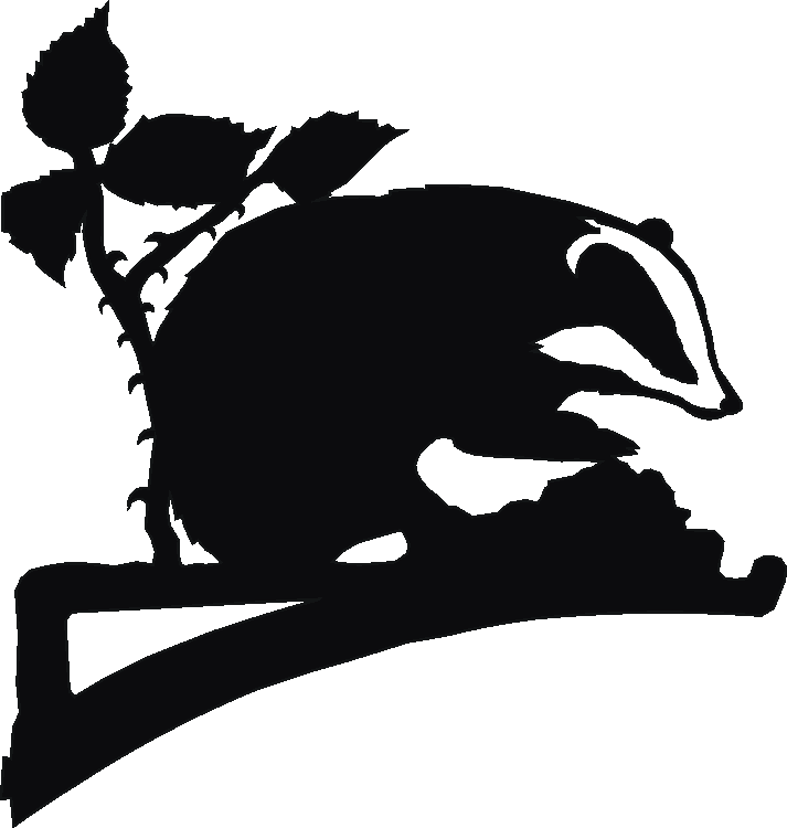 Badger Hanging Brackets