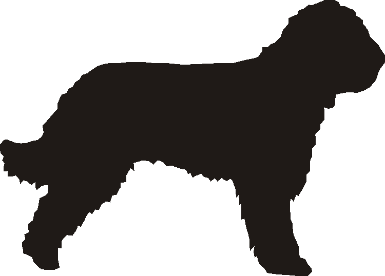 Barbet Silhouettes