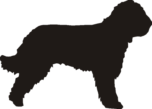 Barbet Silhouettes