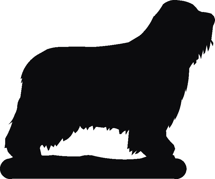 Bearded Collie Number Plates