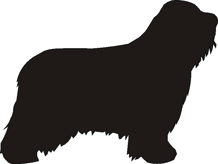 Bearded Collie Silhouettes