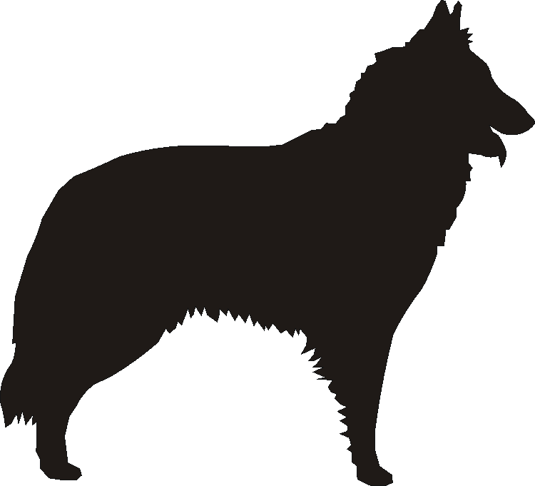 Belgian Tervuren Wine Glasses