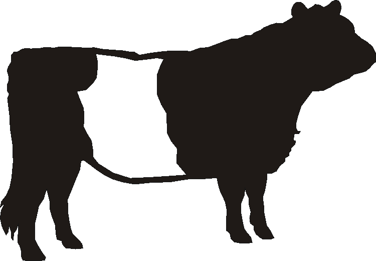 Belted Galoway Silhouettes