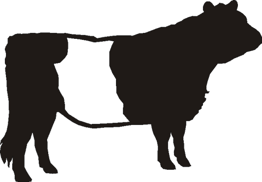 Belted Galoway Silhouettes