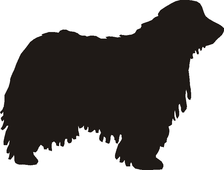 Bergamasco Silhouettes
