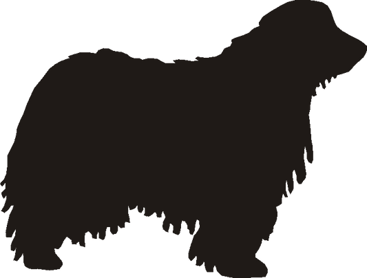Bergamasco Silhouettes