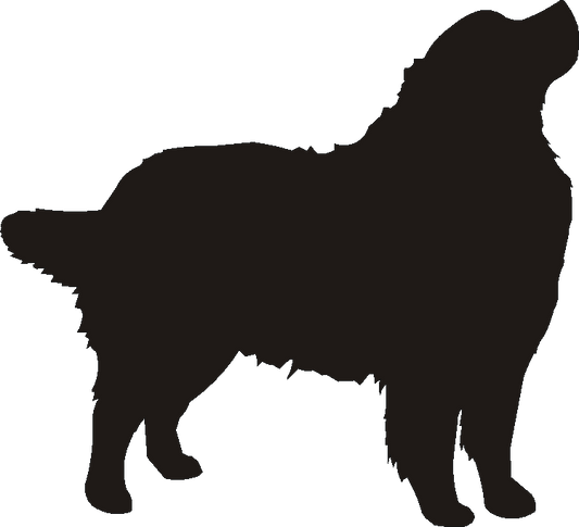 Bernese Mountain Silhouettes