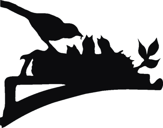 Bird Nest Hanging Brackets