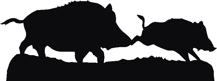 Wild Boar Weathervane