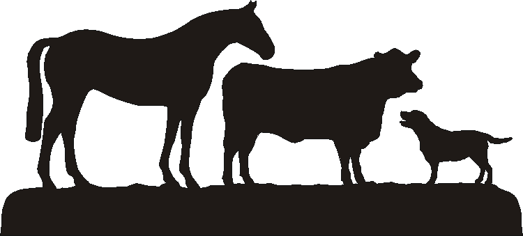 Bradfords Silhouettes