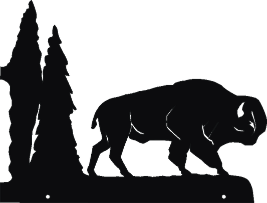 Buffalo Hanging Signs