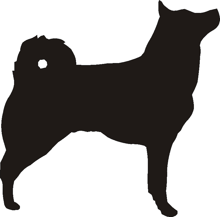Buhund Whirlies