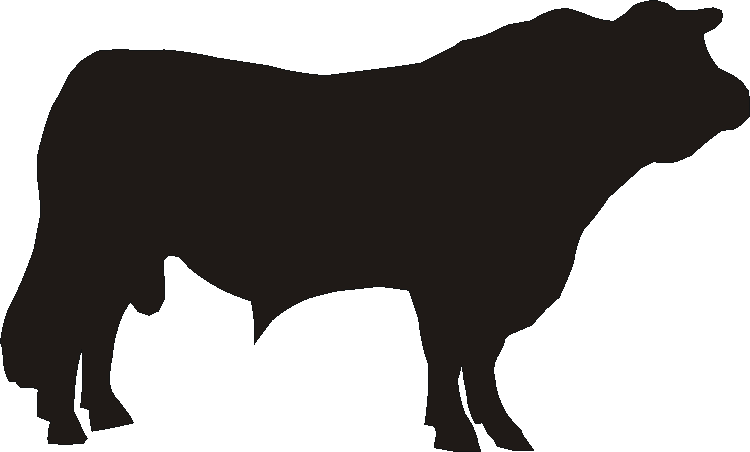 Bull Boot Pull