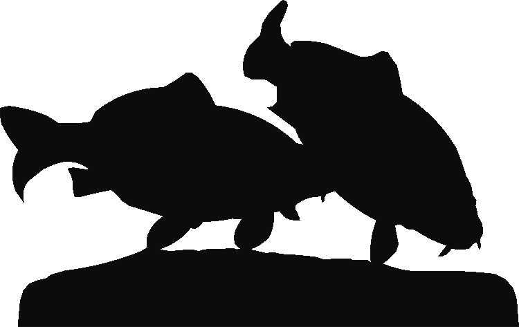 Carp Rosette Runner