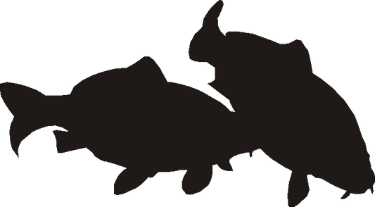 Carp Silhouettes