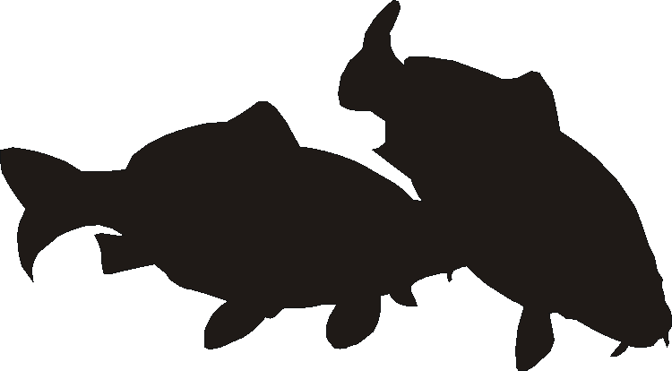 Carp Gate Plates