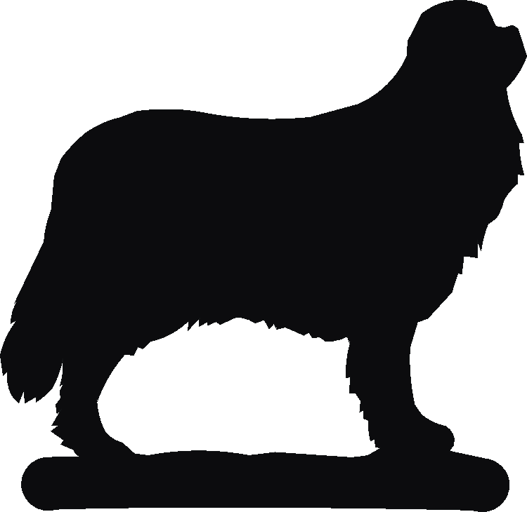 Cavalier King Charles Book Ends