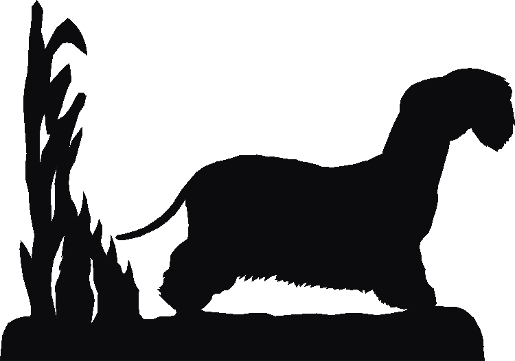 Cesky Terrier Rosette Runner