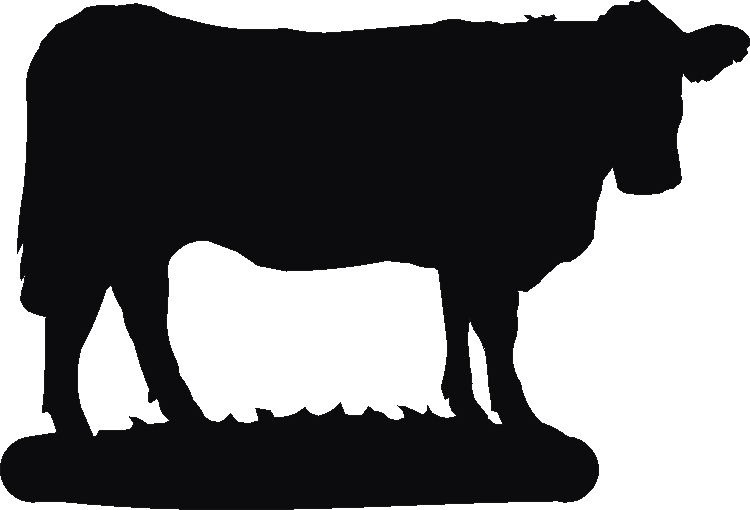 Charolais Herbies