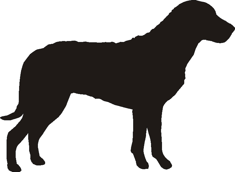 Chesapeake Stable Door Name Plates