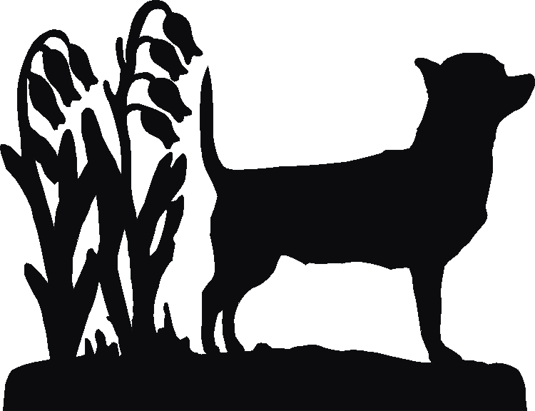Chihuahua Rosette Runner