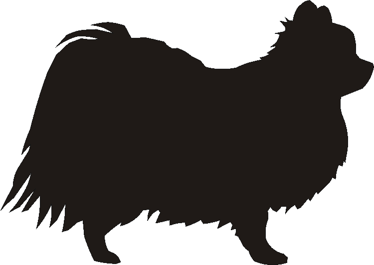 Chihuahua Long Coat Motif Baskets