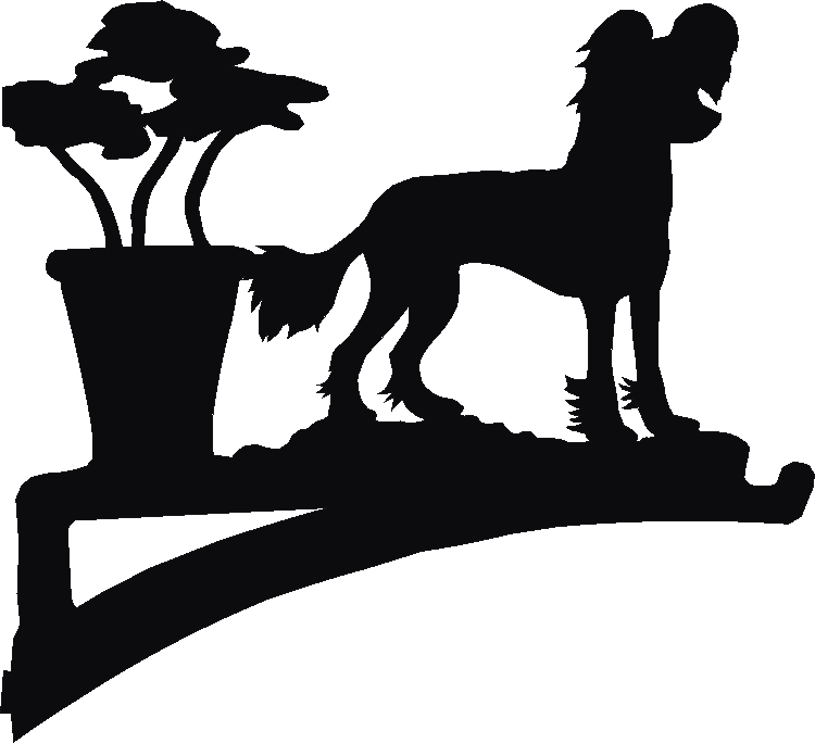 Chinese Crested Hanging Brackets