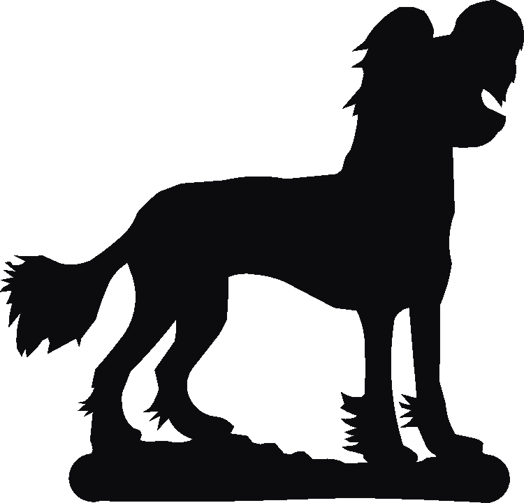 Chinese Crested Thermometers