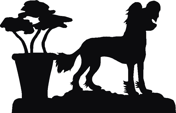 Chinese Crested Rosette Runner