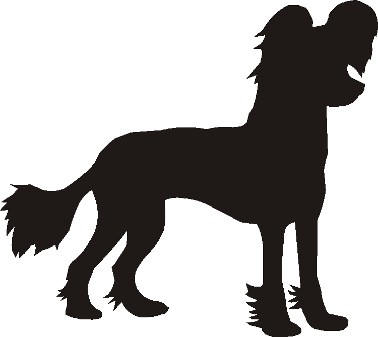 Chinese Crested Silhouettes