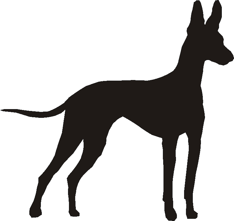 Cirneco dell'Etna Curtain Hook Backs