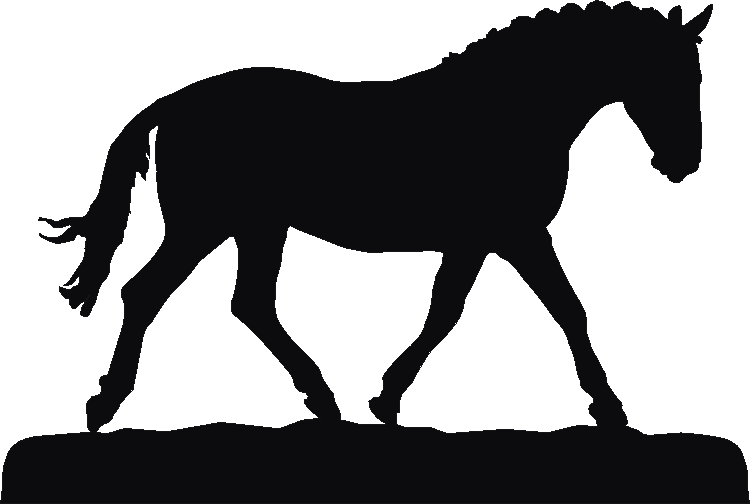 Cleveland Bay Weathervane