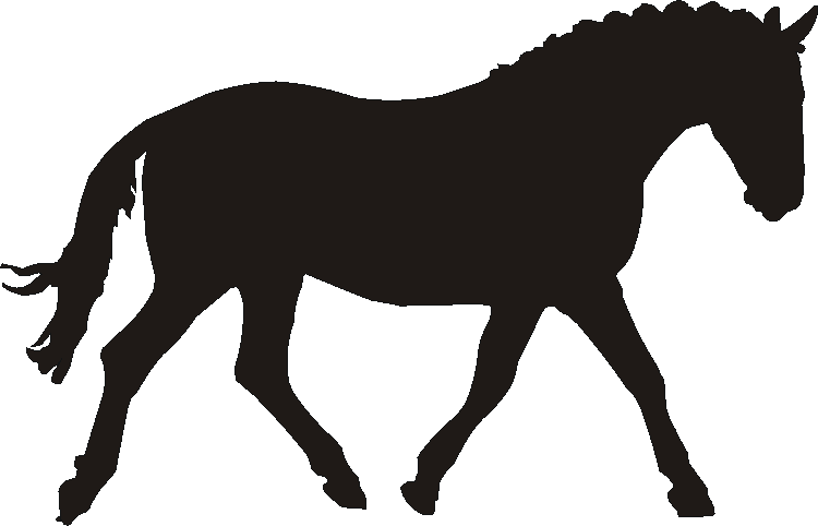 Cleveland Bay Stable Door Name Plates