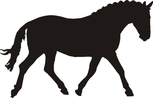 Cleveland Bay Wind Chimes