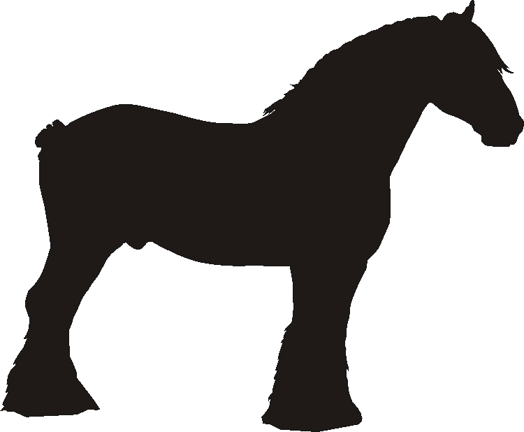 Clydesdale Horse Boot Pull