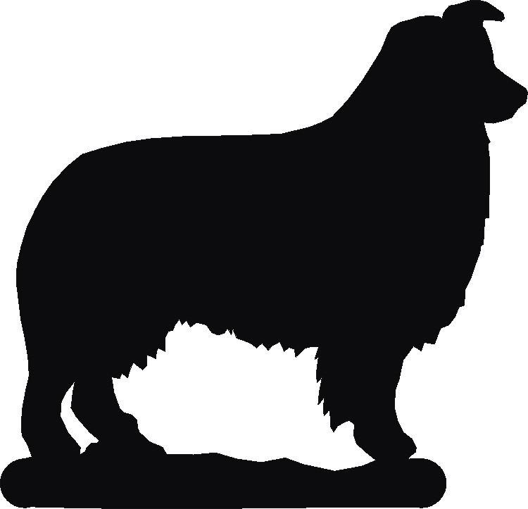 Collie Show Phone Stand