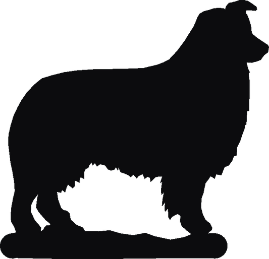 Collie Show Phone Stand