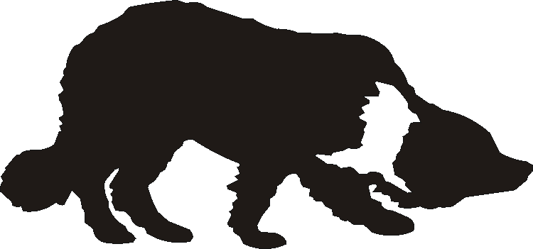 Collie Working Silhouettes