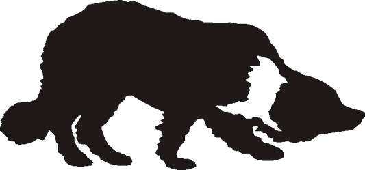 Collie Working Silhouettes
