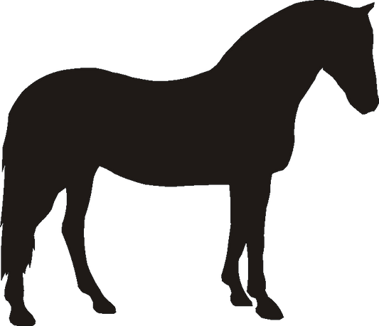 Connemara Pony Curtain Hook Backs