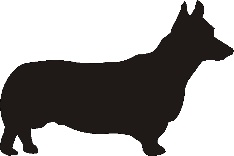 Corgi Pembroke Curtain Hook Backs