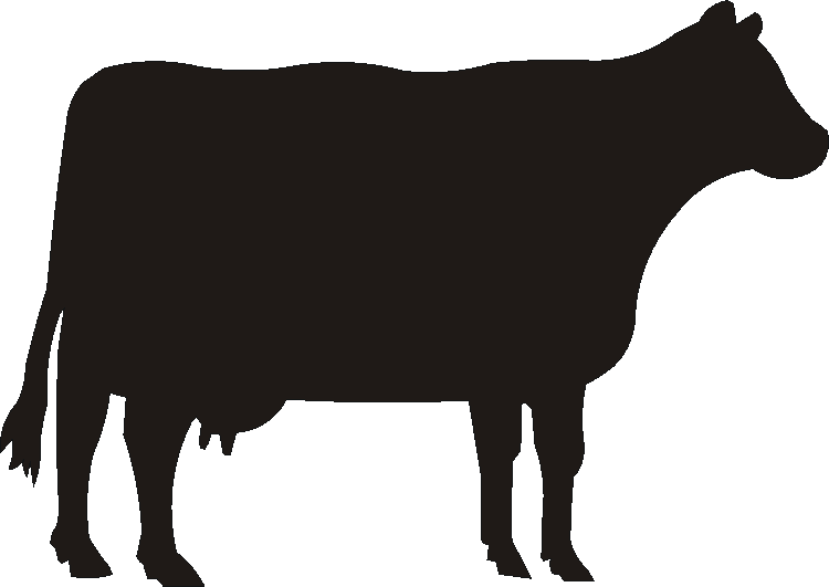 Cow Boot Pull